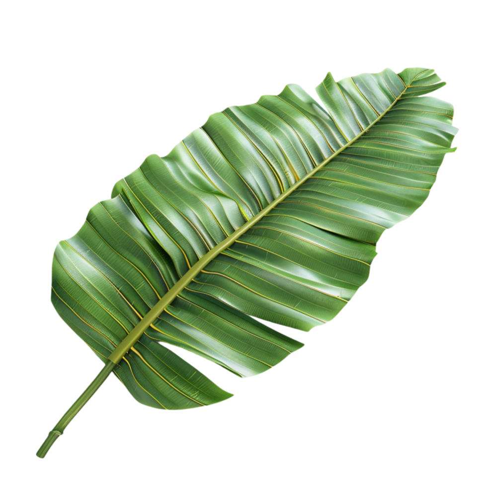 Green Banana Leaf Close-Up with Colorful Gradient Background on Transparent background AI-Generative png
