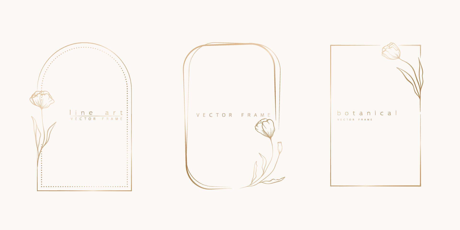 Botanical line art illustration set of wildflowers, branch frames for wedding invitation and cards, logo design, web, social media and posters template. Elegant minimal style floral isolated. vector