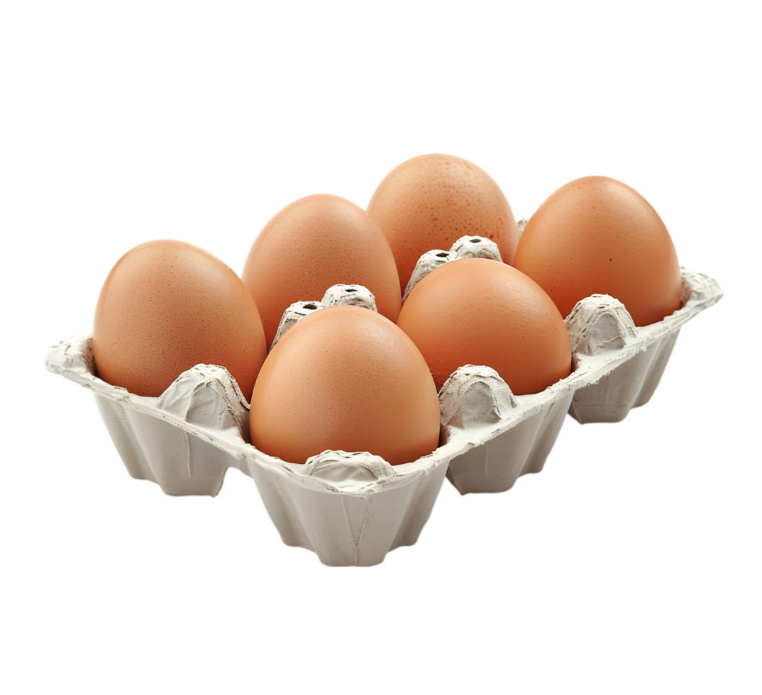Egg Carton