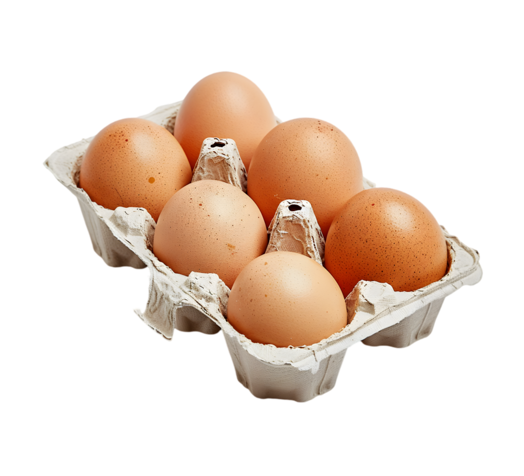 Eggs in cartons isolated on a transparent background png