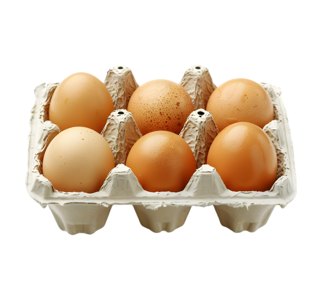 Eggs in cartons isolated on a transparent background png