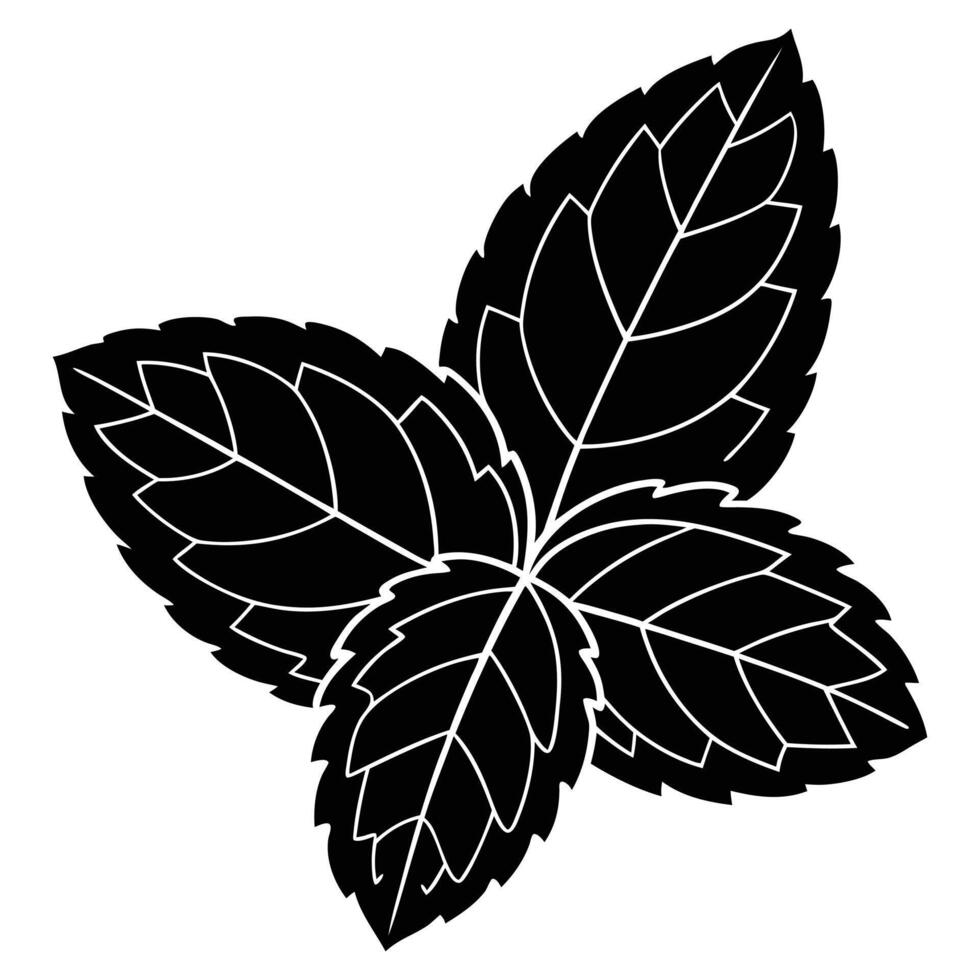 Fresh Mint Leaf Silhouette vector