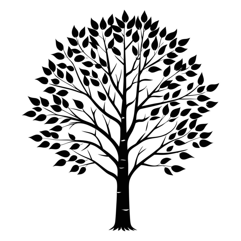 Serene Birch Tree Silhouette Art vector