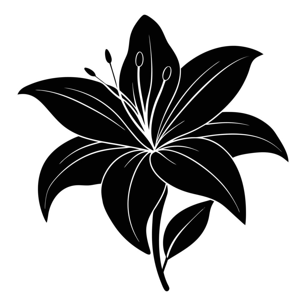 Lily Flower Silhouette in Elegant Design vector