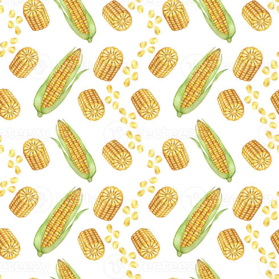 Yellow corn and seeds seamless pattern, autumnal textile, golden cobs background. Watercolor sweetcorn botanical print design for clothes, wallpaper, wrapping paper, scrapbooking, food packaging, Thanksgiving png