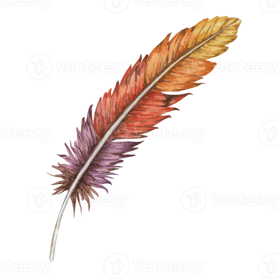 Feather watercolor illustration in a beautiful mix of deep purple, soft pink, and warm yellow tones, for elegant touch to any design. Clipart for wedding invitations, greeting cards, luxury branding png