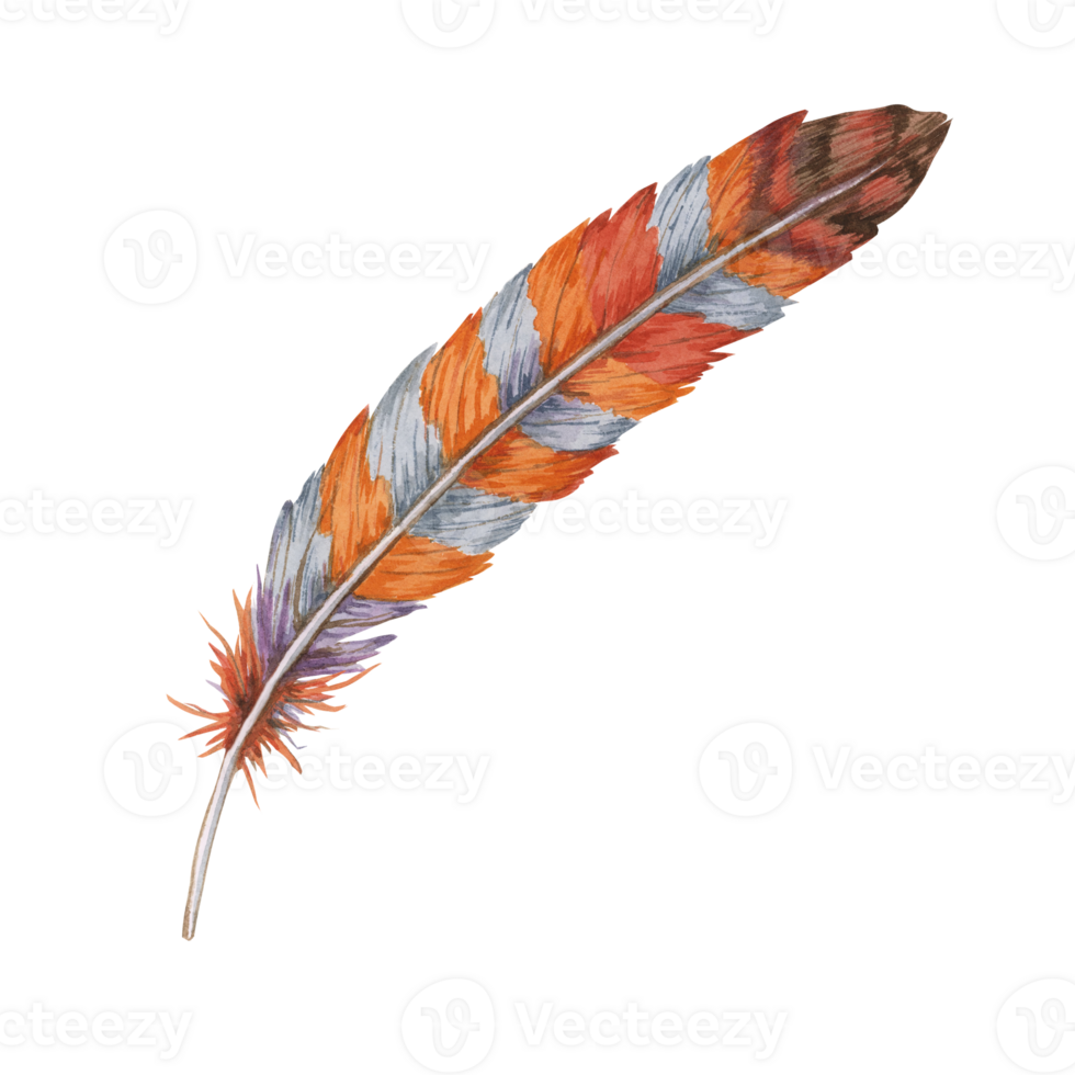 Feather watercolor illustration with combination of orange, red, and blue hues. Bird plumage clipart for use in bohemian-themed designs, digital artwork, and home decor items png