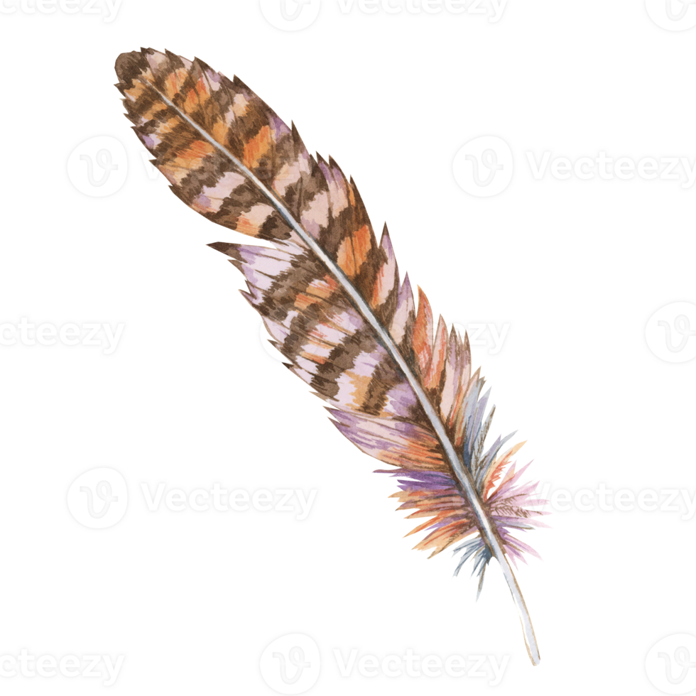 Feather watercolor illustration in earthy palette of browns and beiges with subtle hints of lavender. Plumage Clipart for nature-themed projects, rustic wedding decor, and organic product packaging png