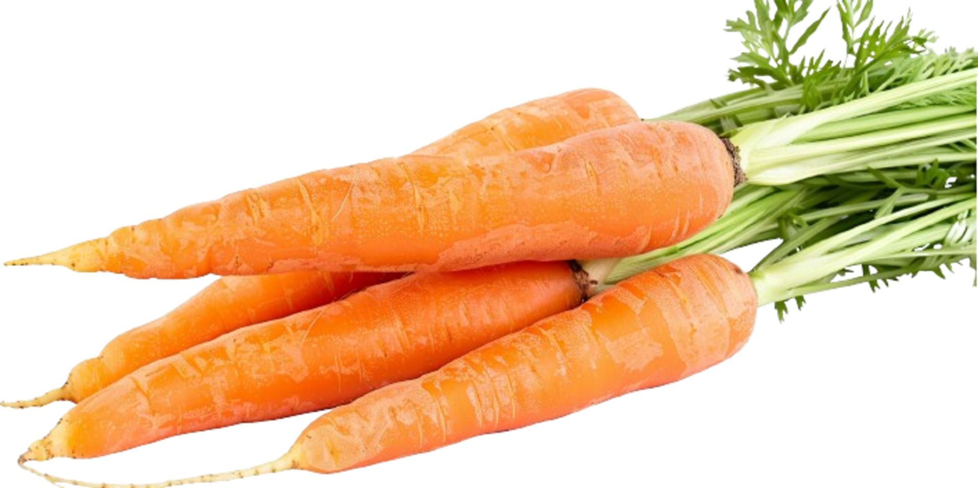 Carrot on transparent background for Carrot Day png