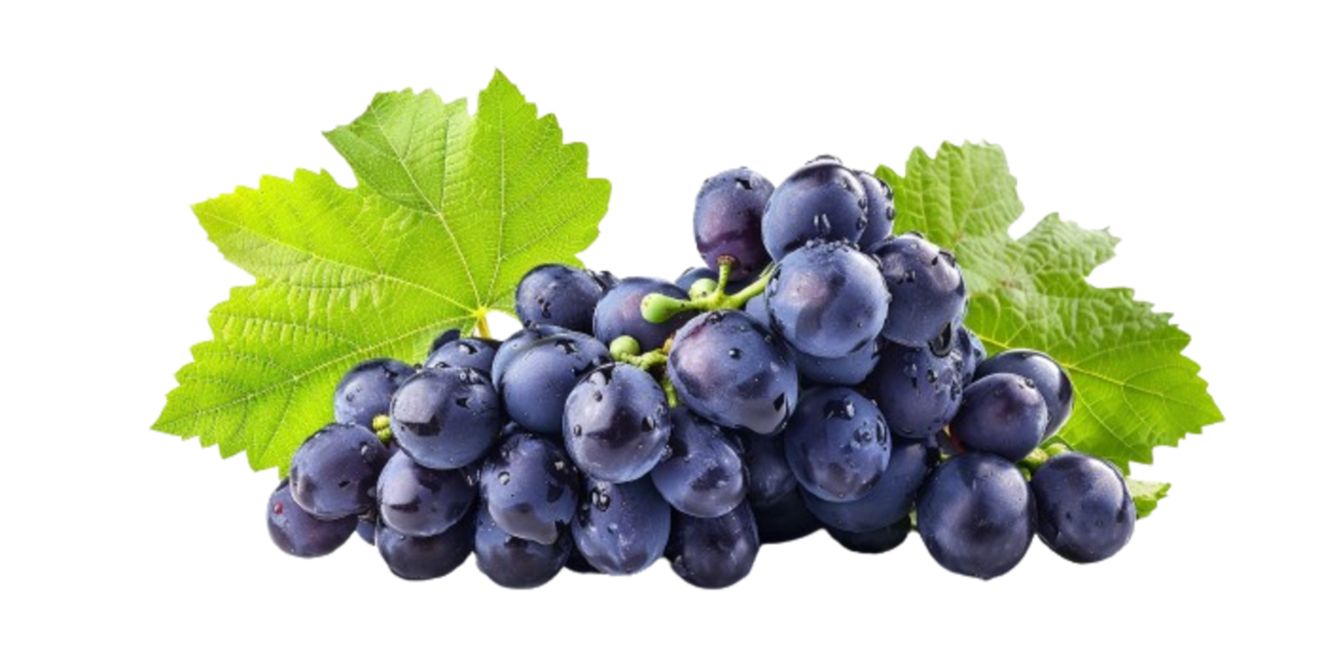 Grapes isolated on transparent background png