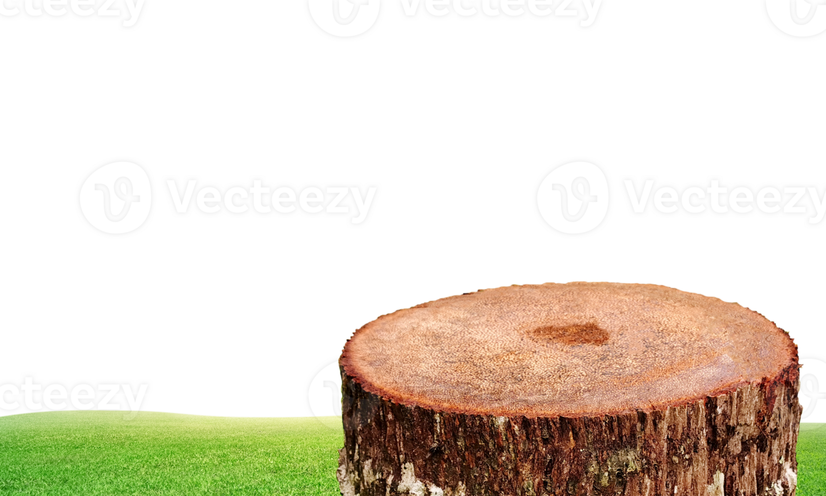 An old tree stump with a grassy field in the background transparent. png