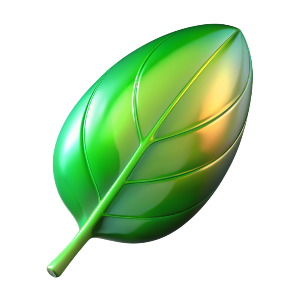Green leaf 3D Green leaf icon Green leaf design png