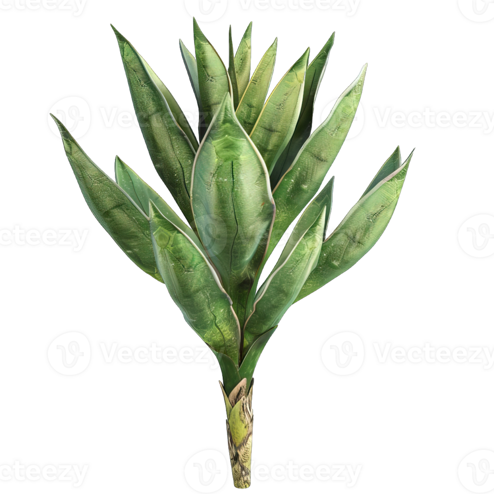 Fresh green Tree png