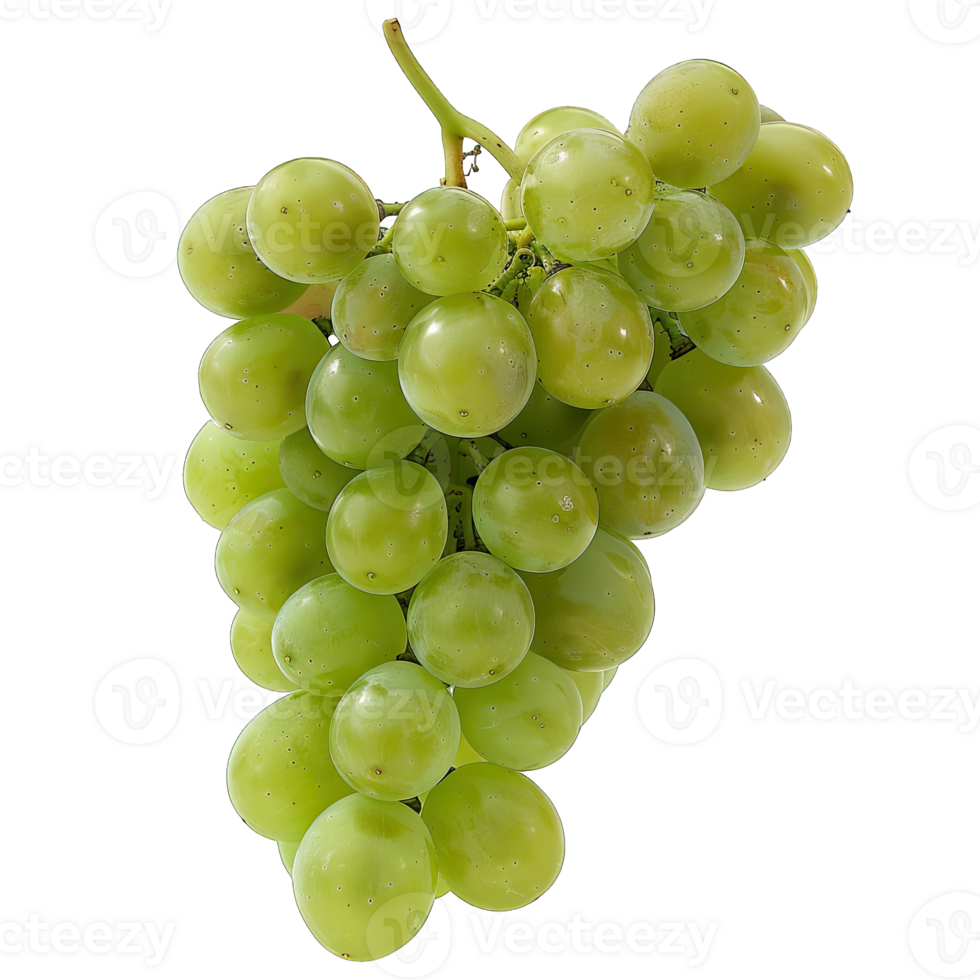 Fresh Grape fruit png