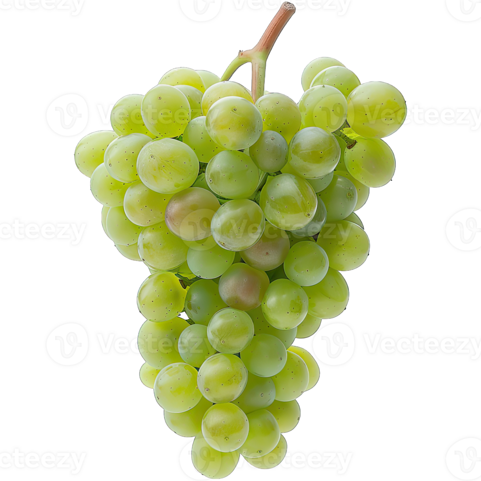Fresh Grape fruit png