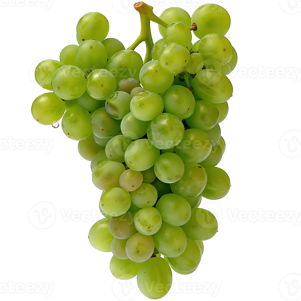 Fresh Grape fruit png