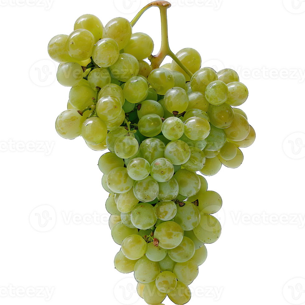 Fresh Grape fruit png