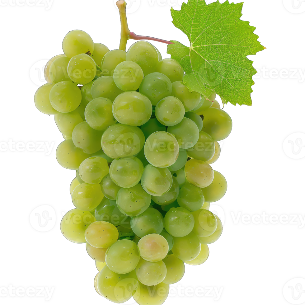 Fresh Grape fruit png