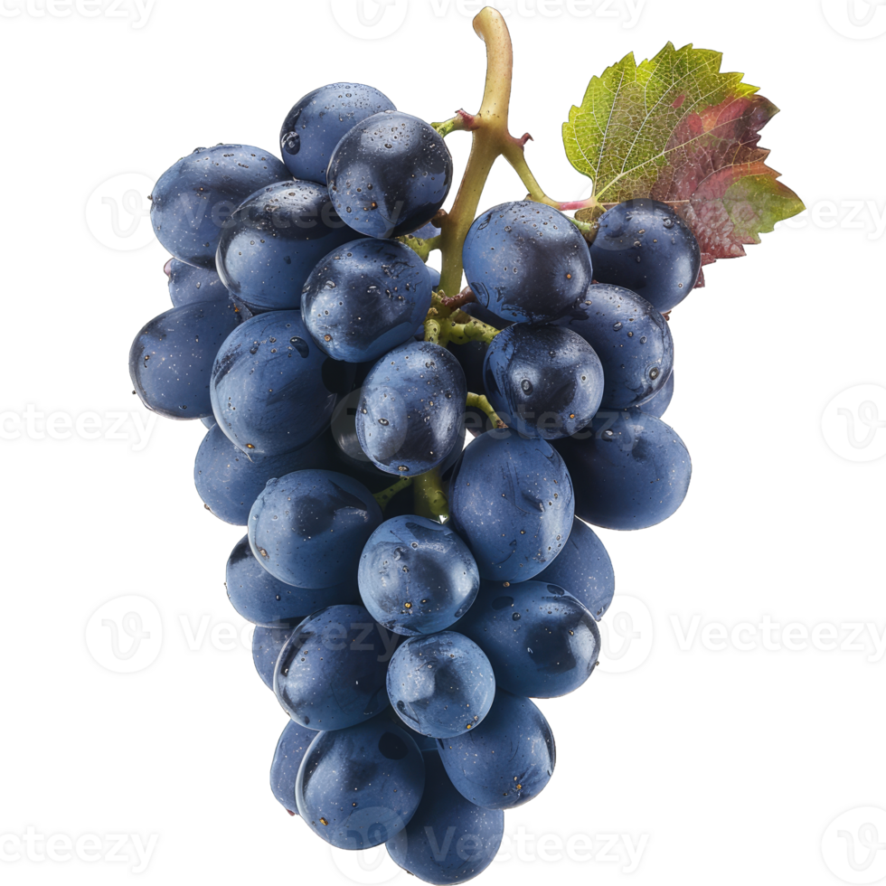 Fresh Grape fruit png