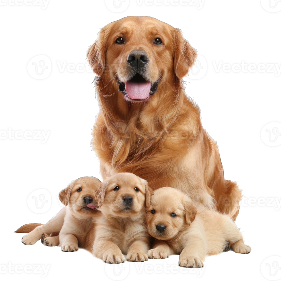 Cute dog and puppies png