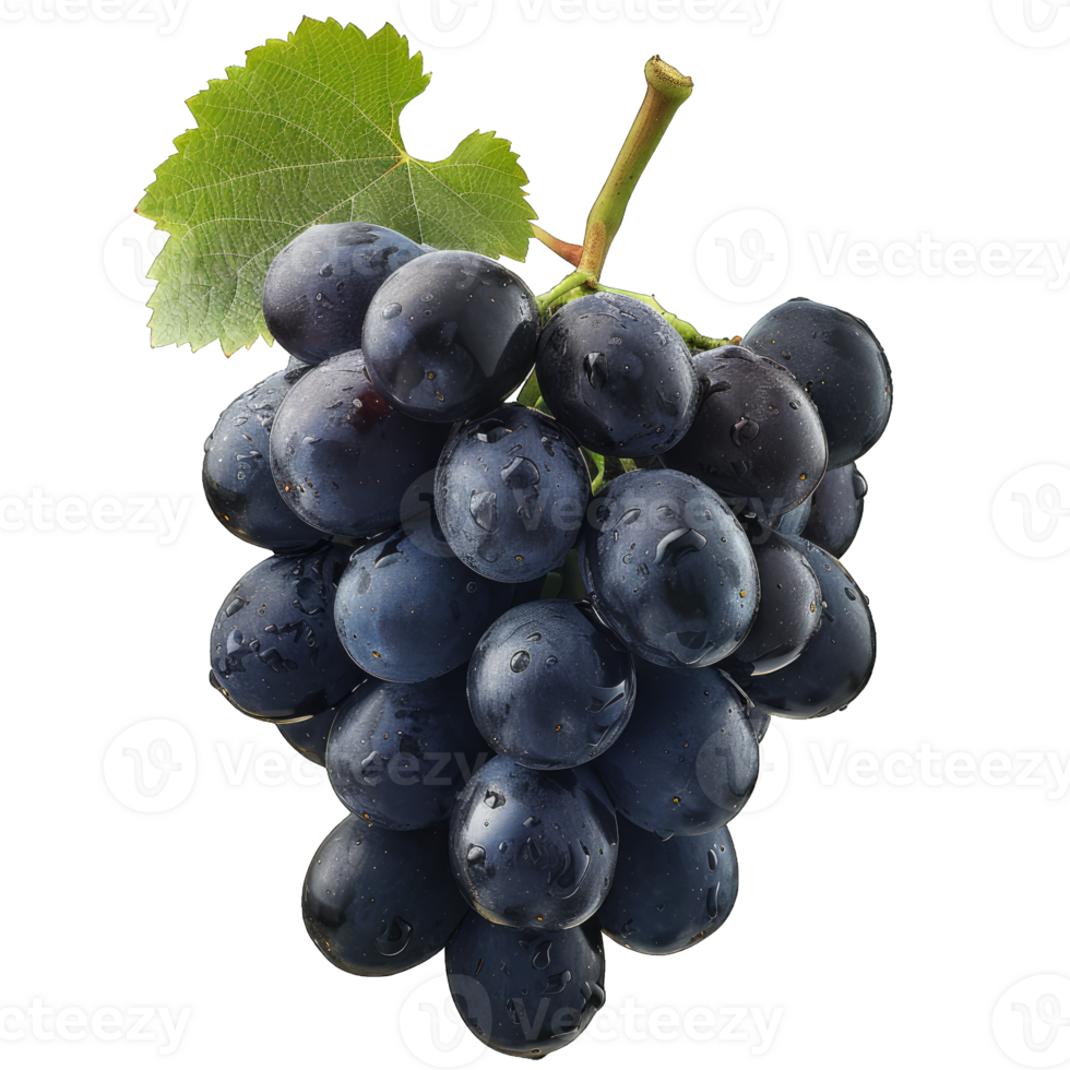 Fresh Grape fruit png