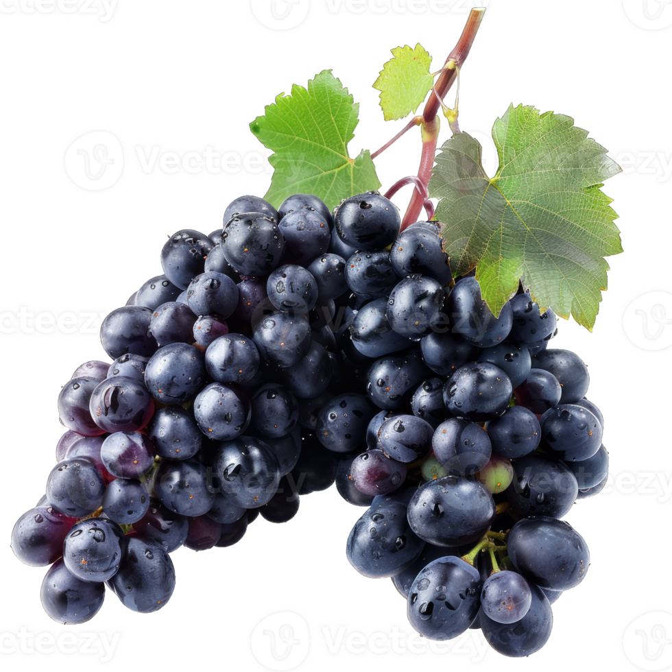 Fresh Grape fruit png