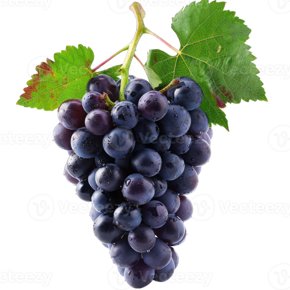 Fresh Grape fruit png