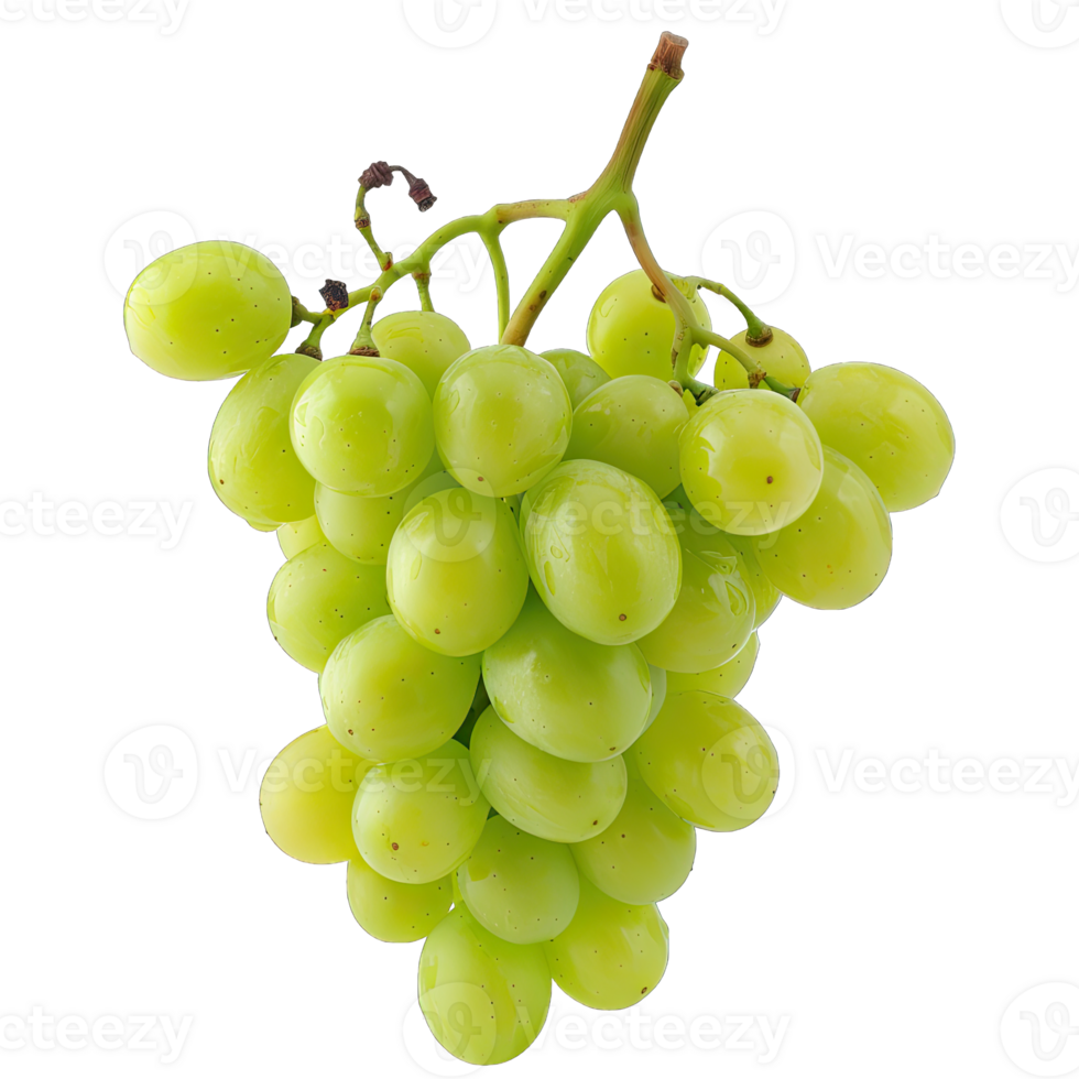 Fresh Grape fruit png