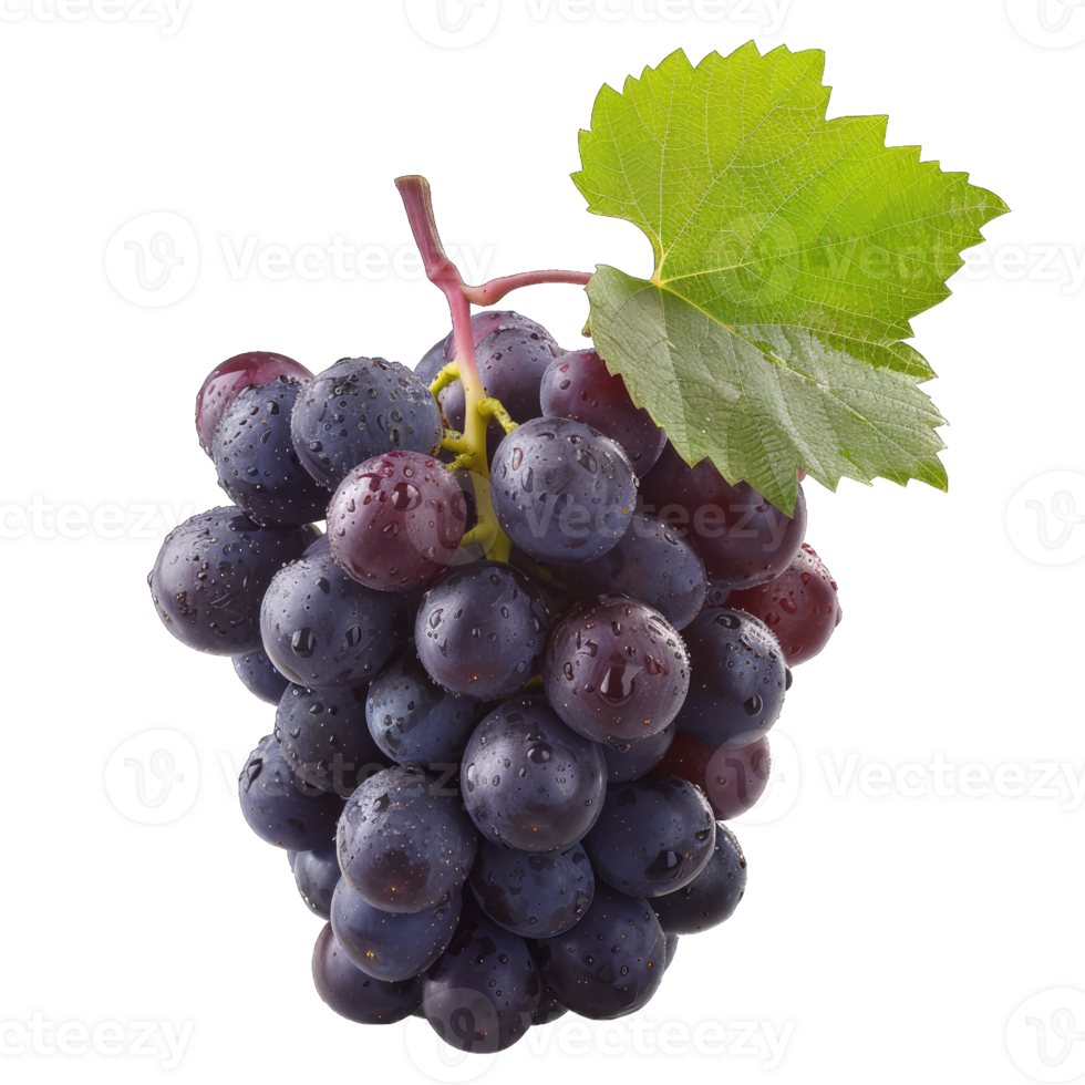 Fresh Grape fruit png