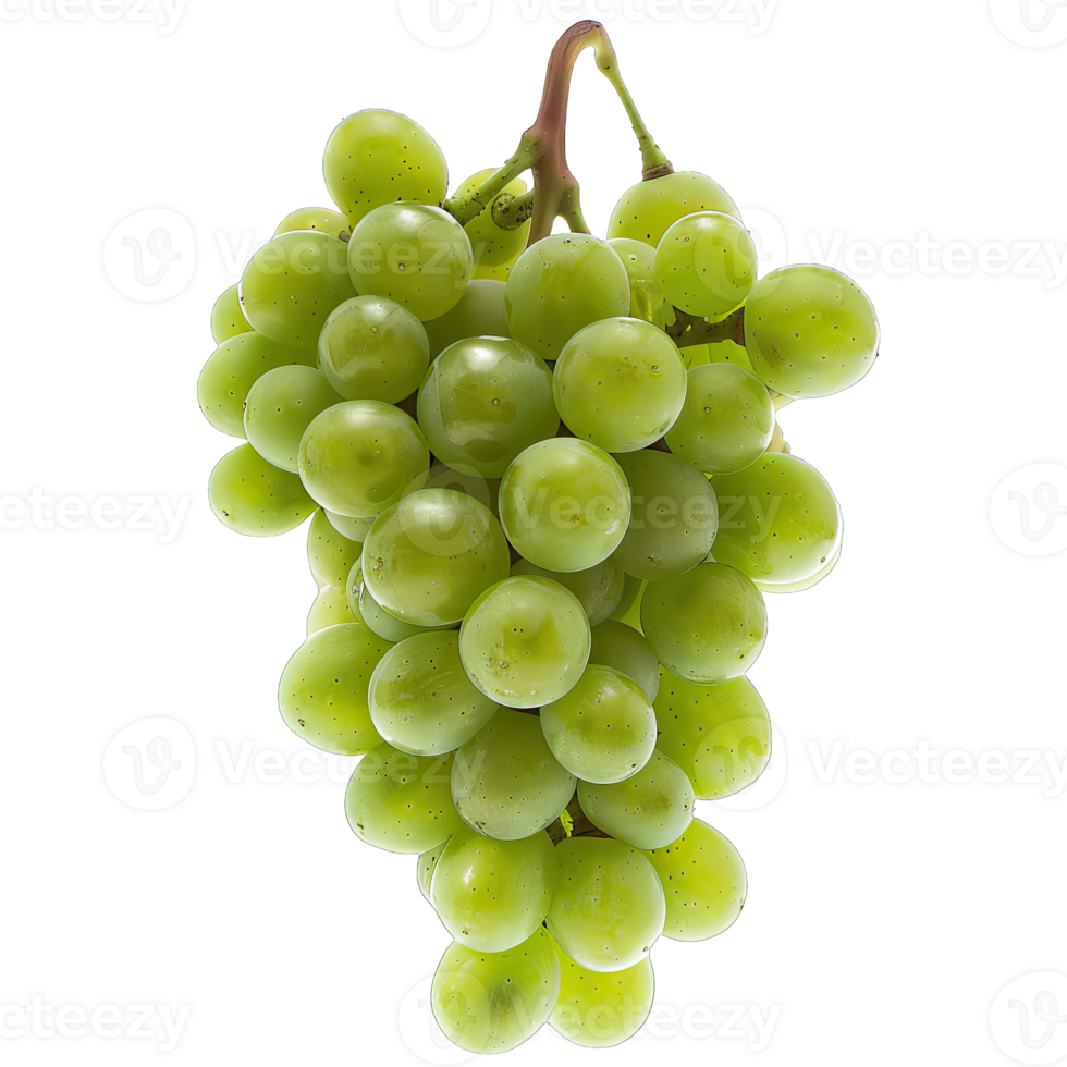 Fresh Grape fruit png