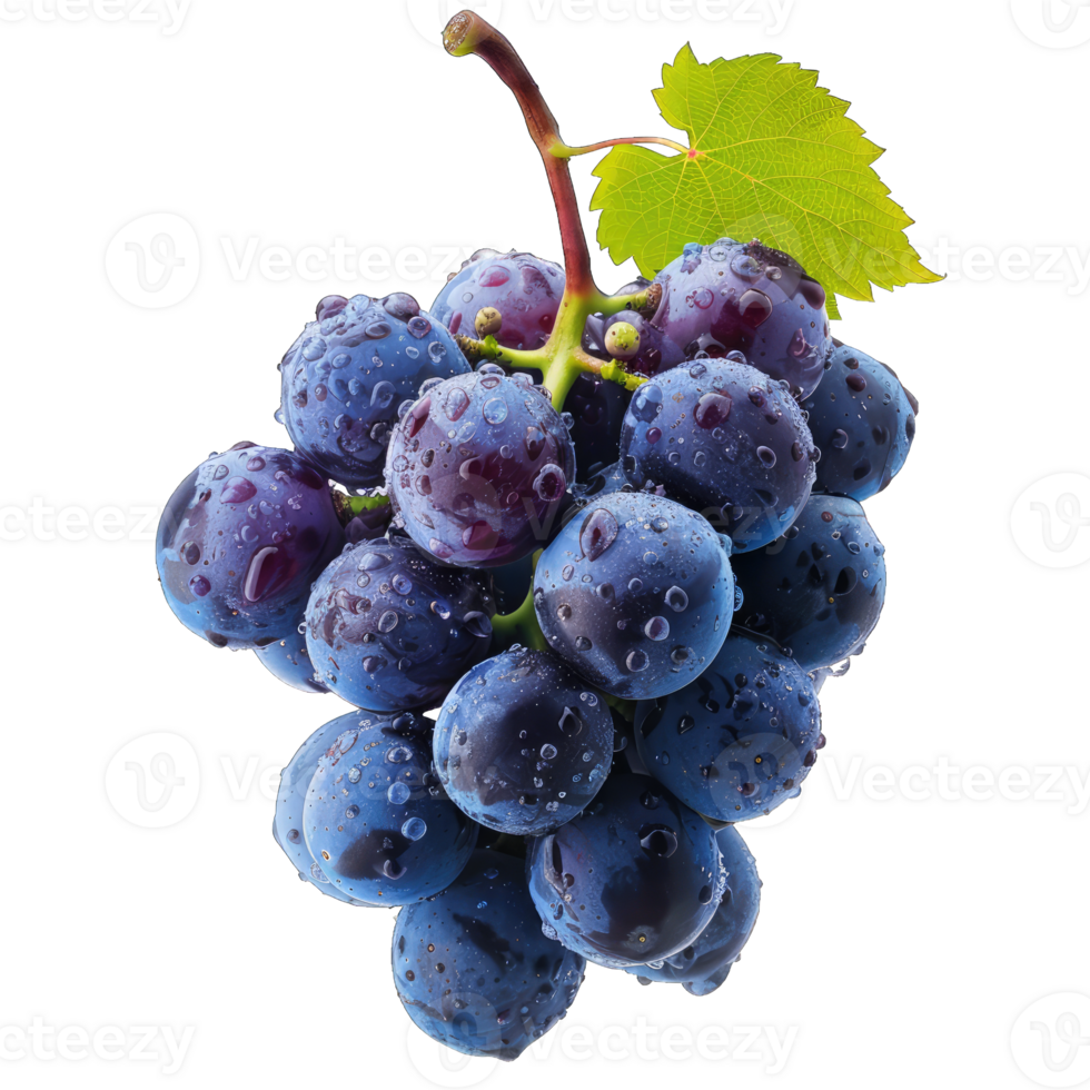 Fresh Grape fruit png