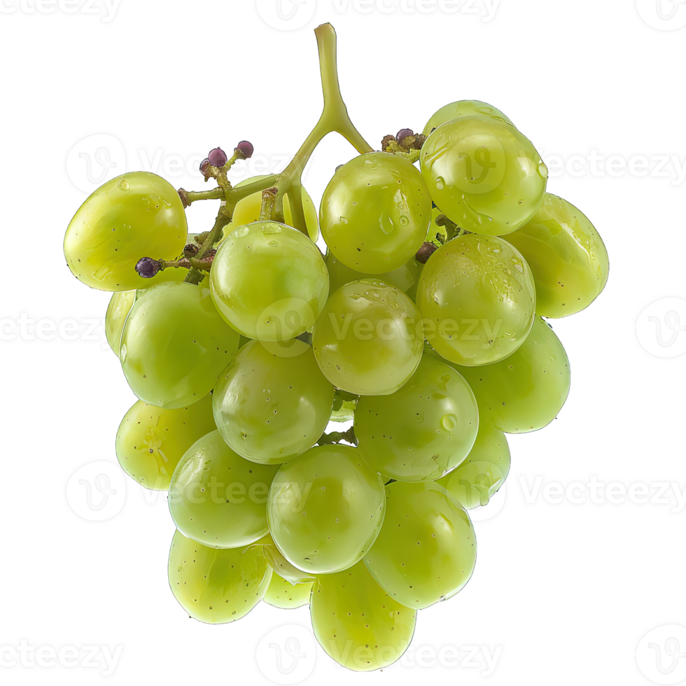 Fresh Grape fruit png