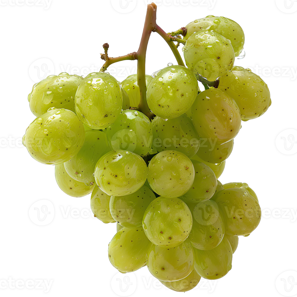 Fresh Grape fruit png