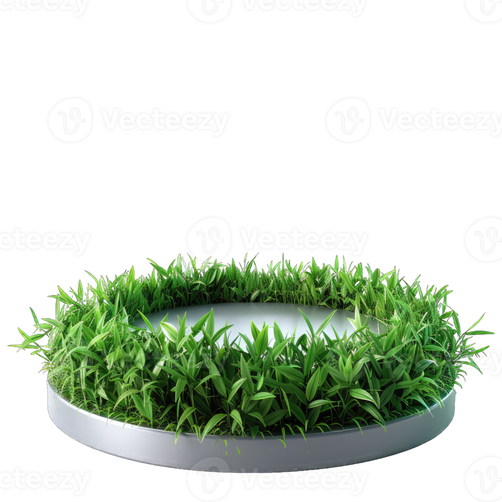 Circular Grass Podium png