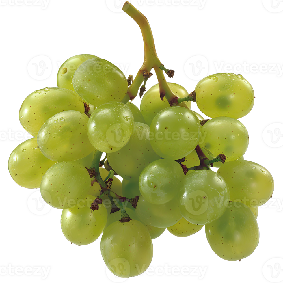 Fresh Grape fruit png