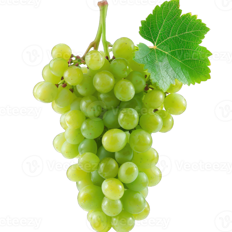 Fresh Grape fruit png