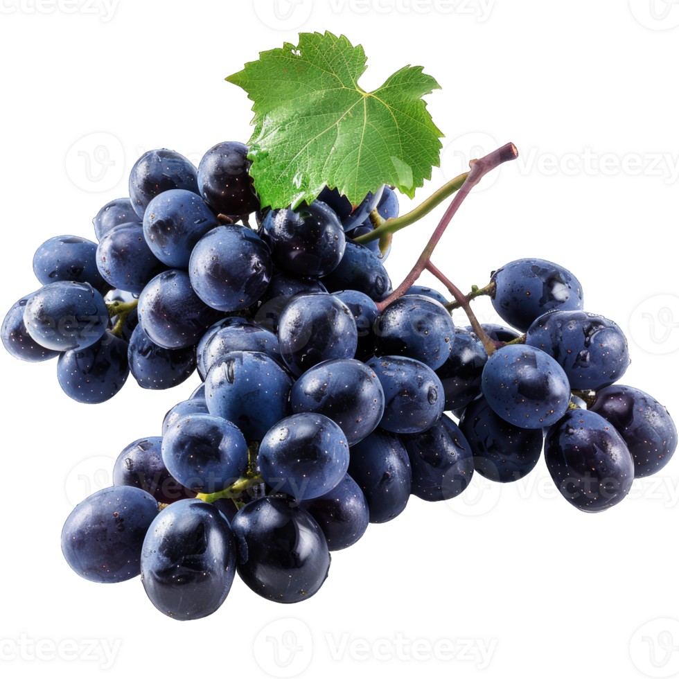 Fresh Grape fruit png