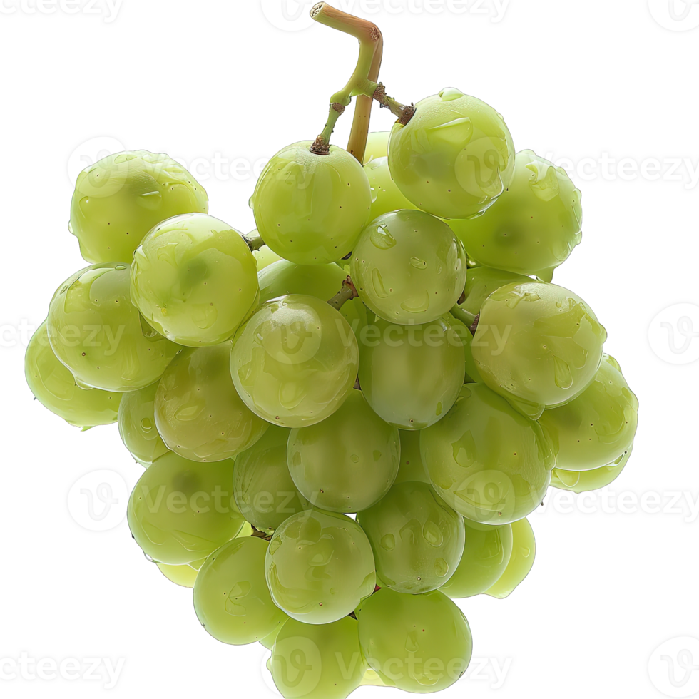 Fresh Grape fruit png