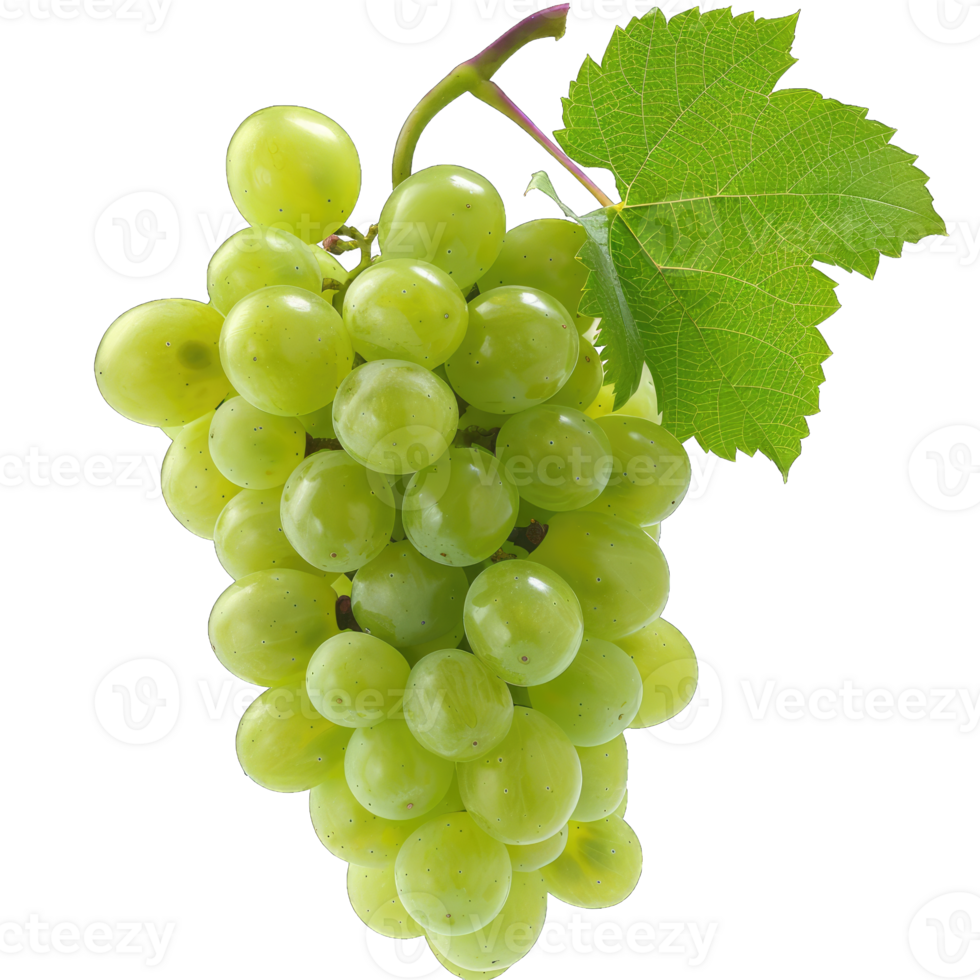 Fresh Grape fruit png