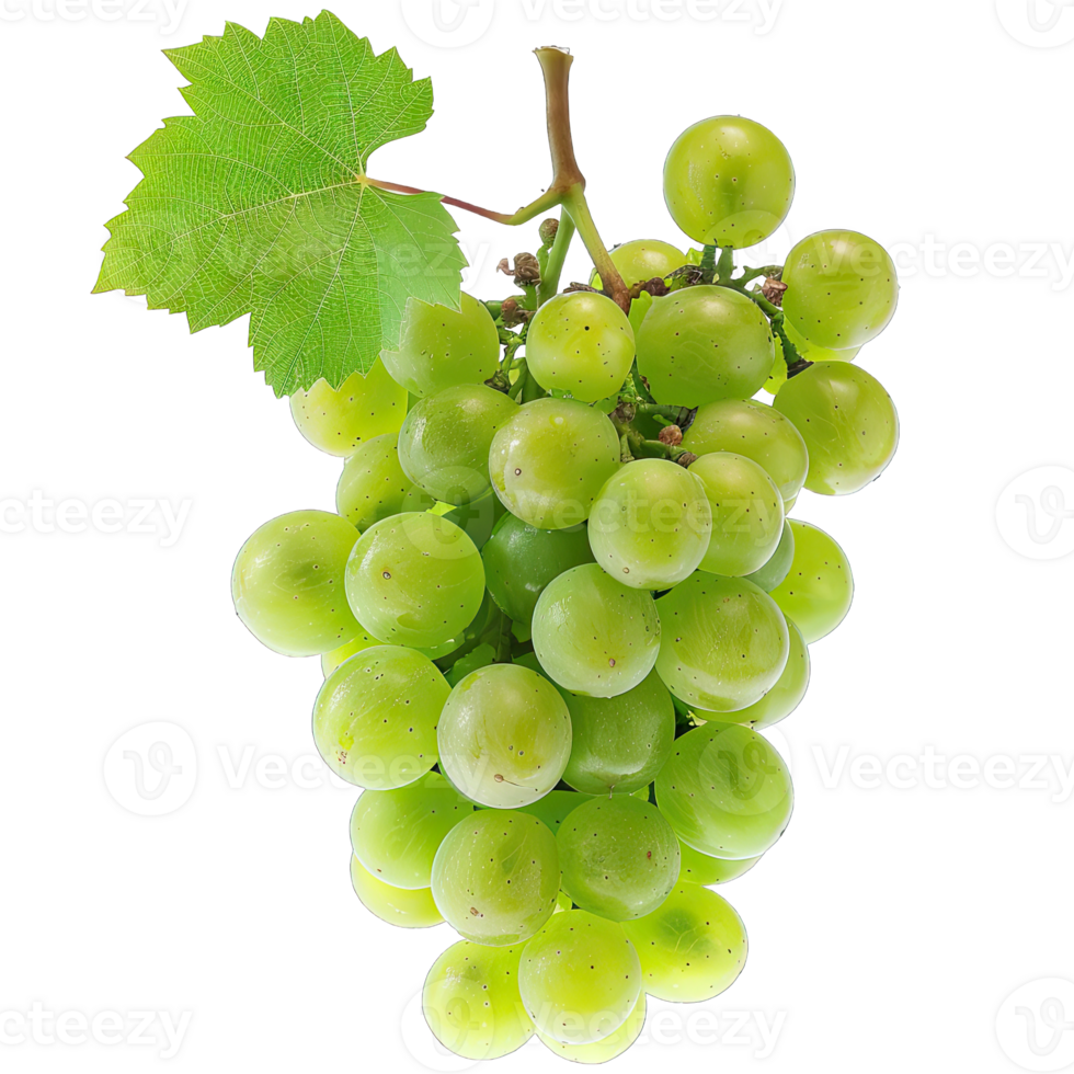 Fresh Grape fruit png