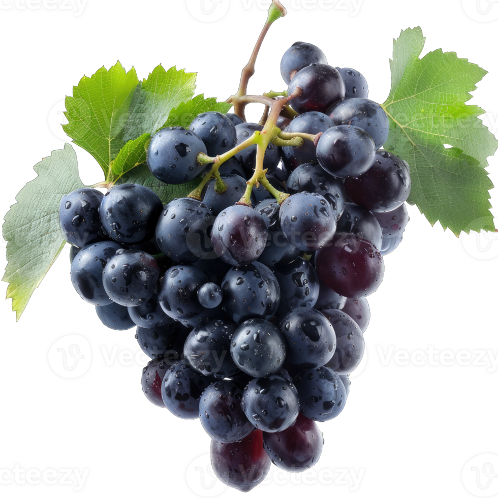 Fresh Grape fruit png
