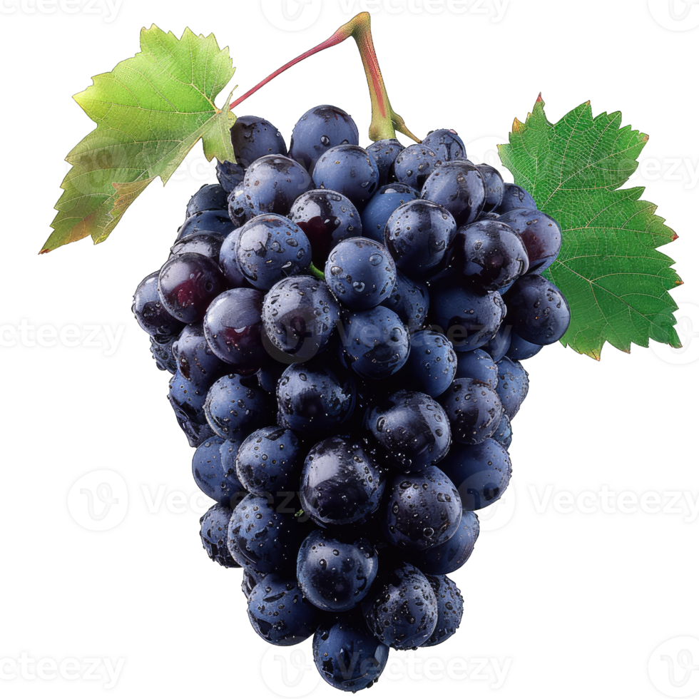 Fresh Grape fruit png