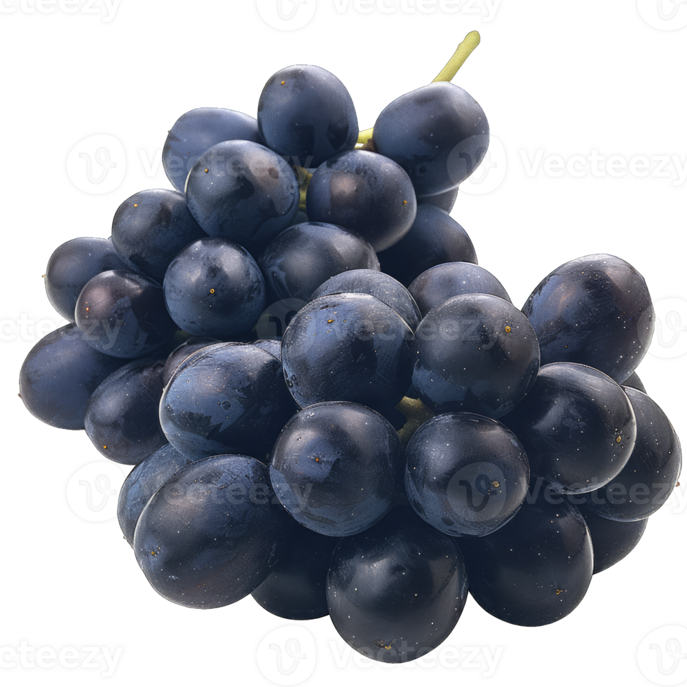 Fresh Grape fruit png