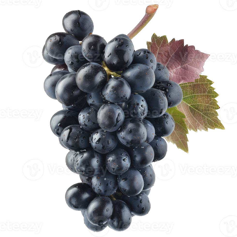 Fresh Grape fruit png