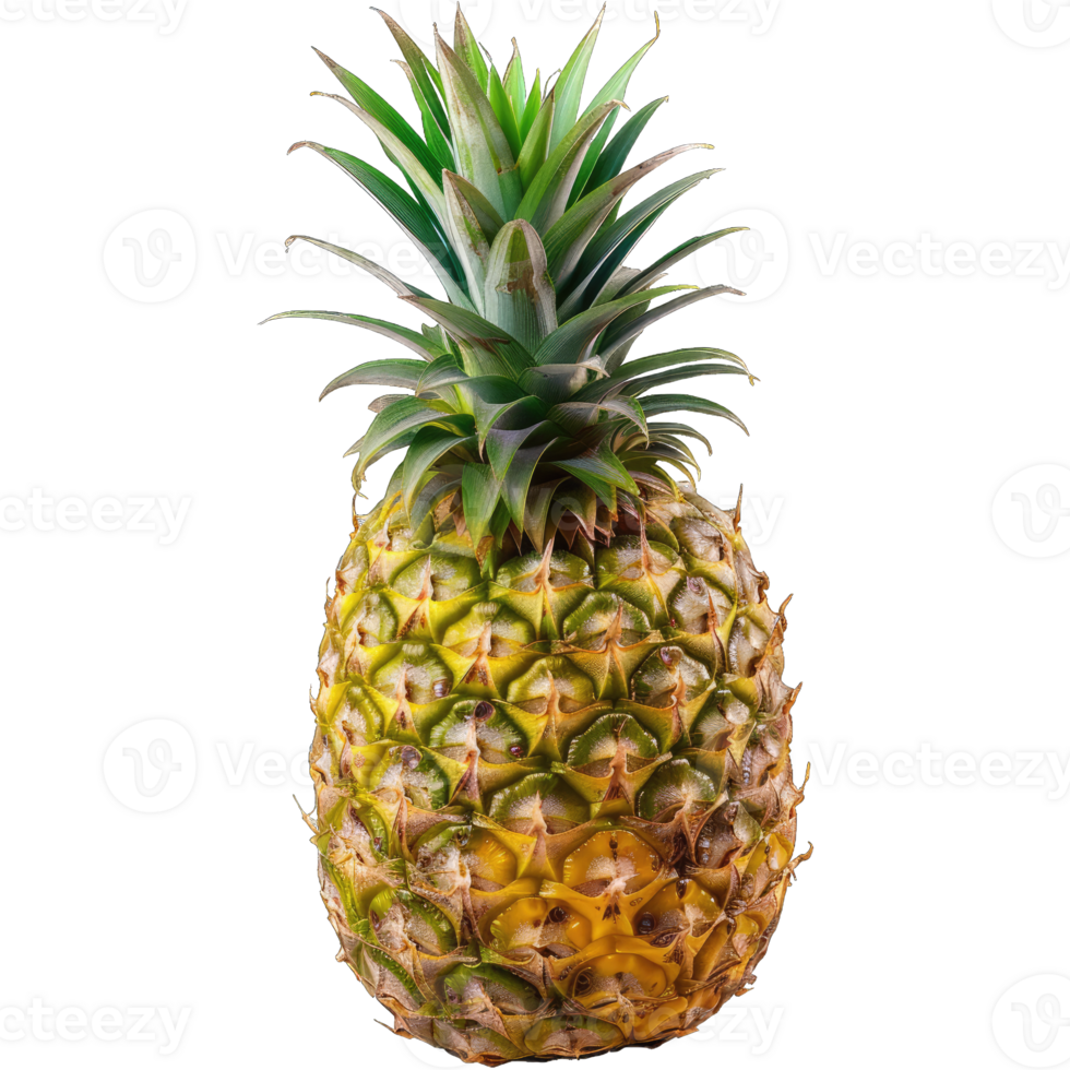 Fresh Pineapple Fruit png