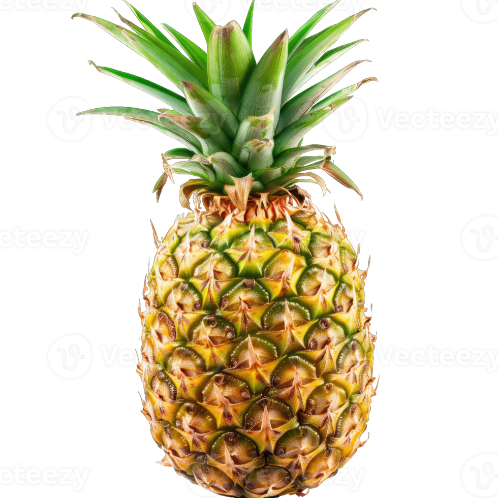 Fresh Pineapple Fruit png