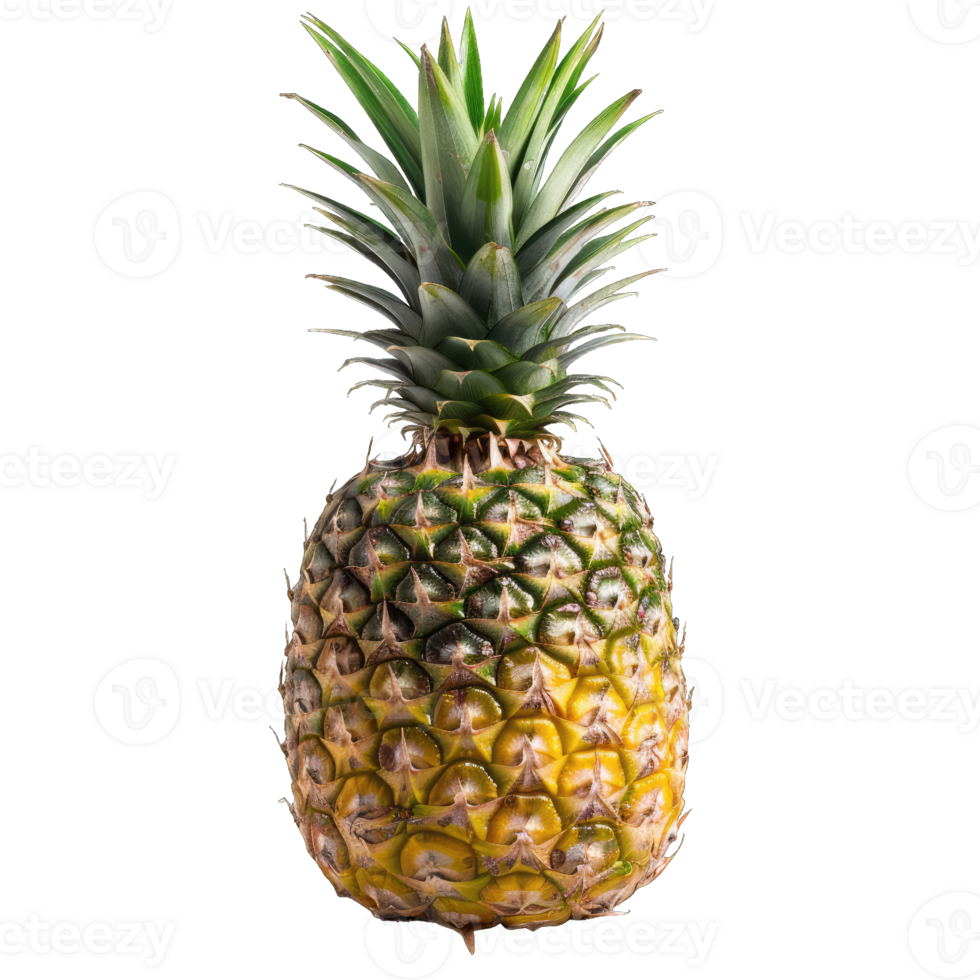 Fresh Pineapple Fruit png