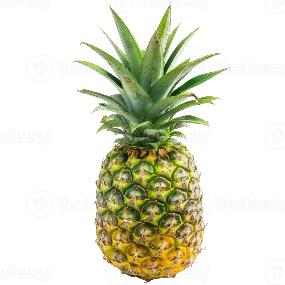 Fresh Pineapple Fruit png
