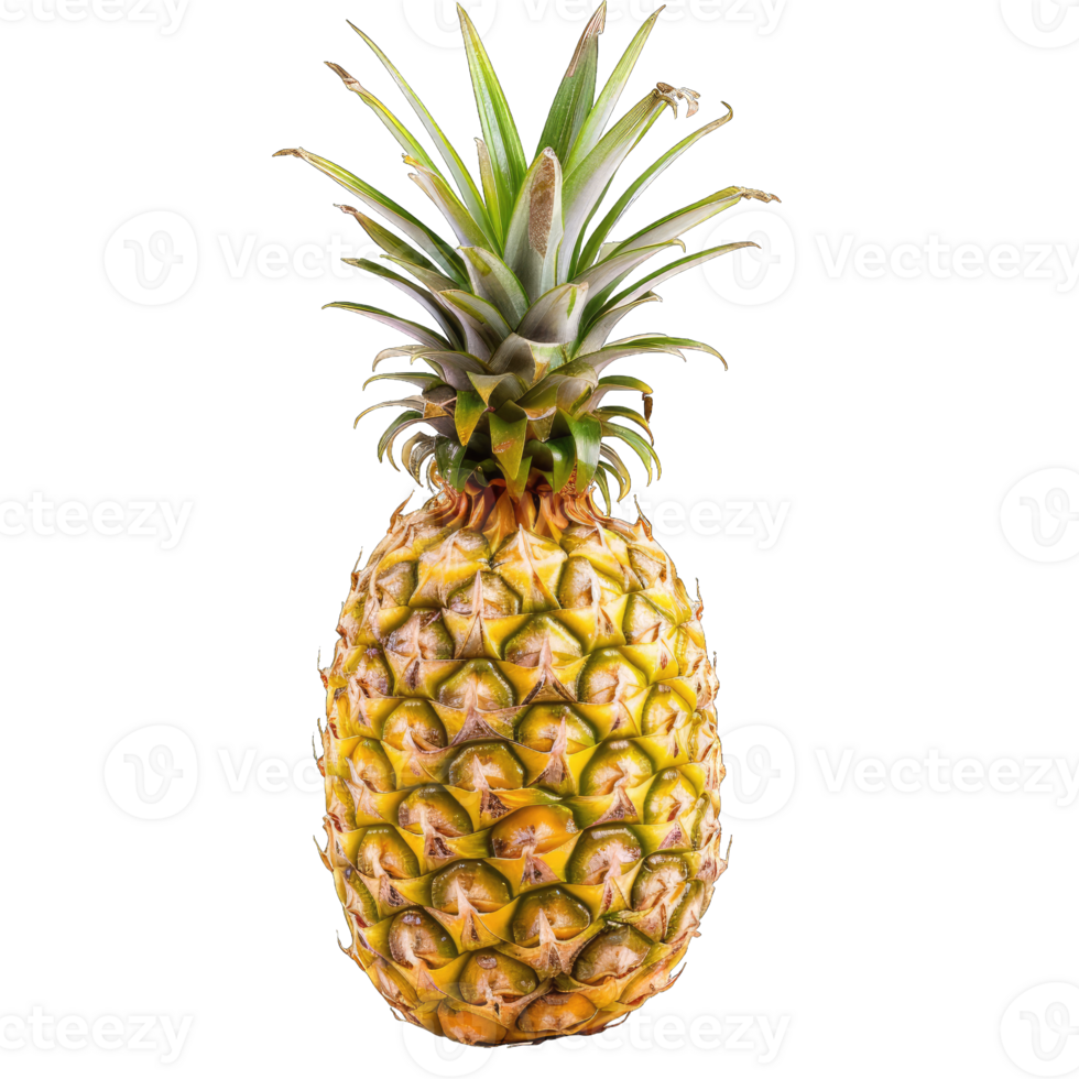 Fresh Pineapple Fruit png