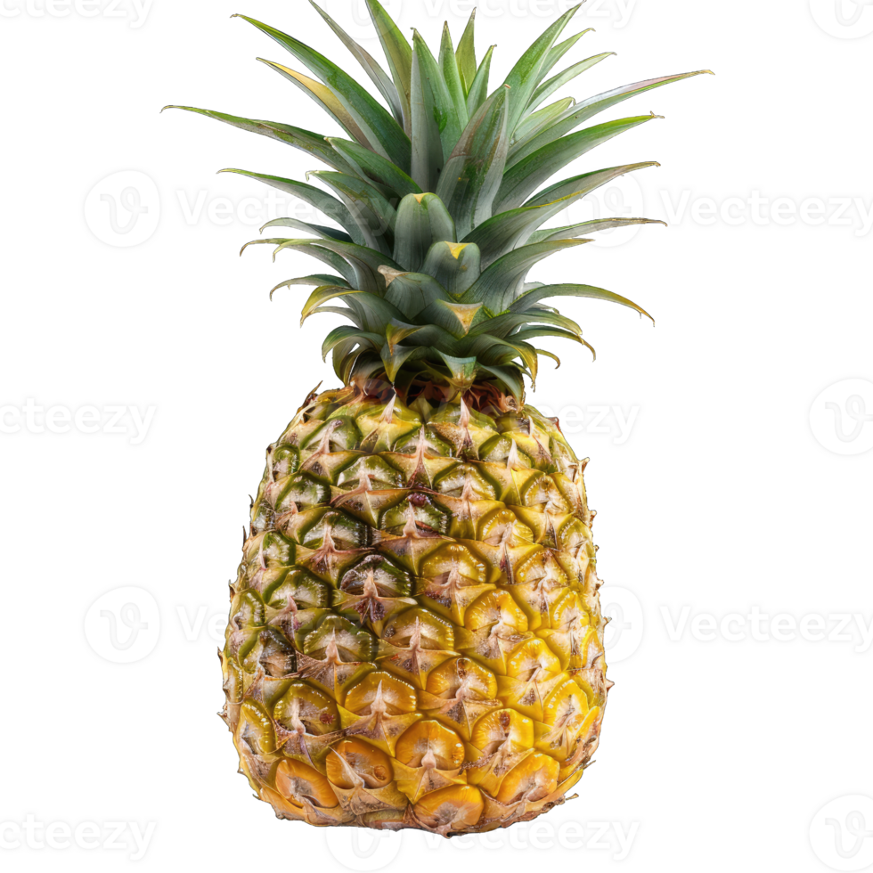 Fresh Pineapple Fruit png